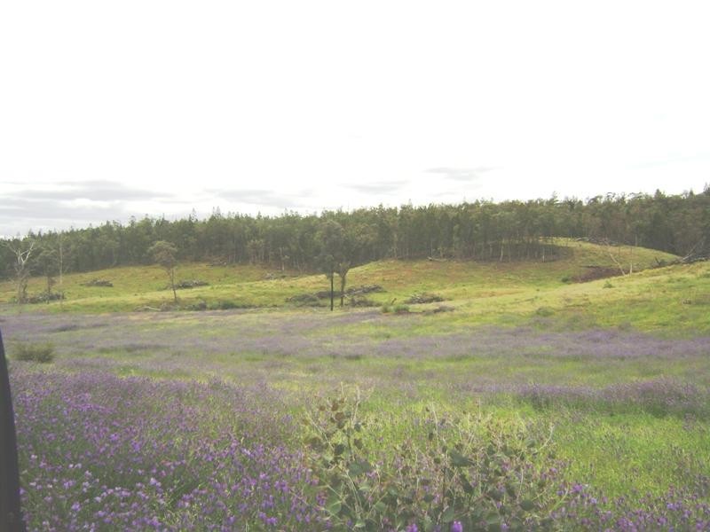 1760 Barryrenie Road, Cowra NSW 2794