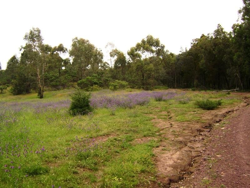 1760 Barryrenie Road, Cowra NSW 2794