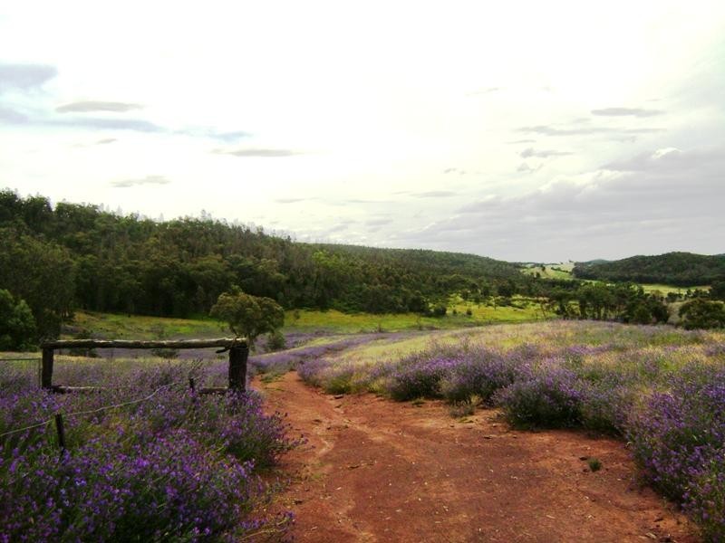 1760 Barryrenie Road, Cowra NSW 2794