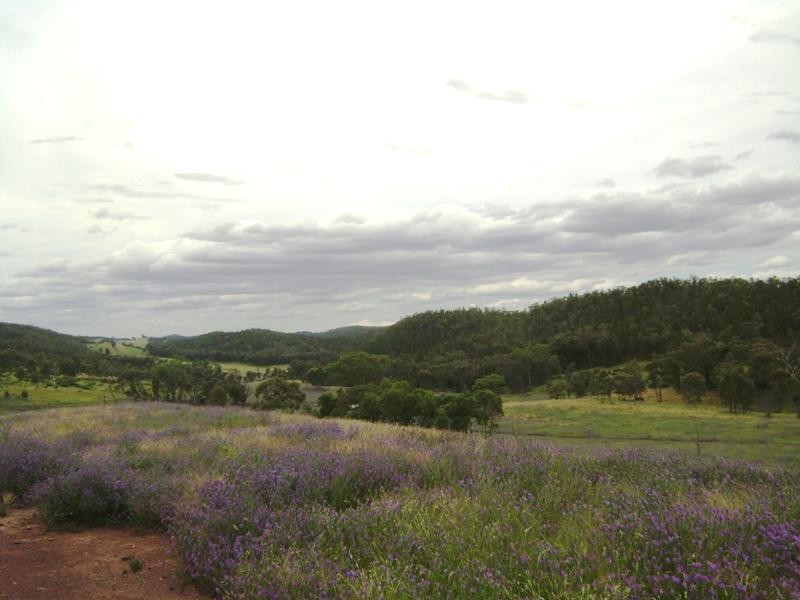 1760 Barryrenie Road, Cowra NSW 2794