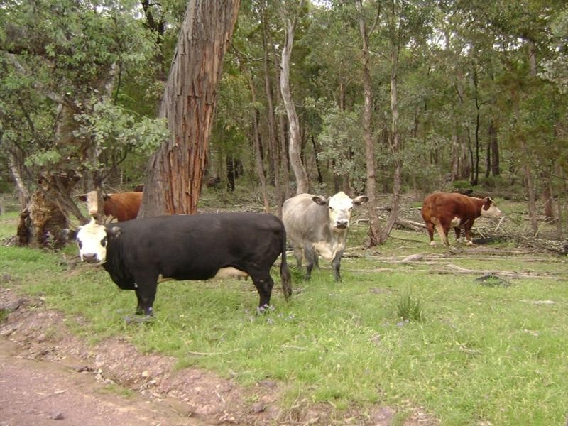 1760 Barryrenie Road, Cowra NSW 2794