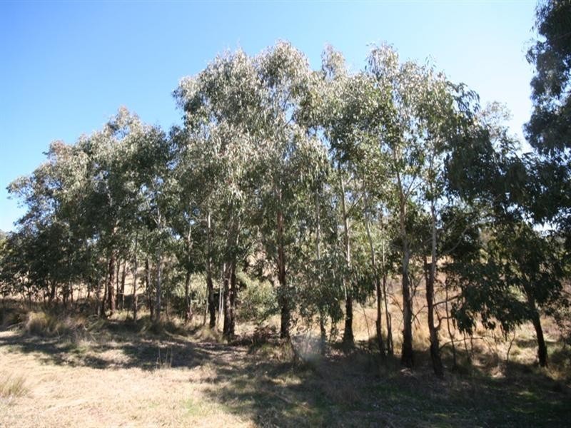 397 Eusdale Road, Yetholme NSW 2795