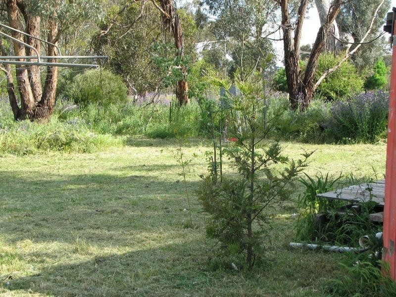 33 Little Street, Bendick Murrell, Young NSW 2594