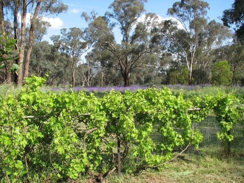 33 Little Street, Bendick Murrell, Young NSW 2594
