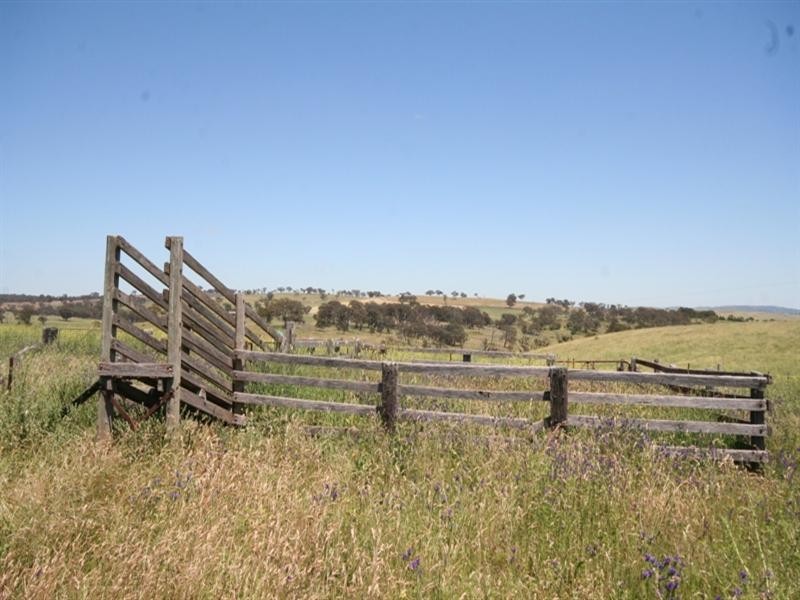 2827 O’Connell Road, O’connell NSW 2795