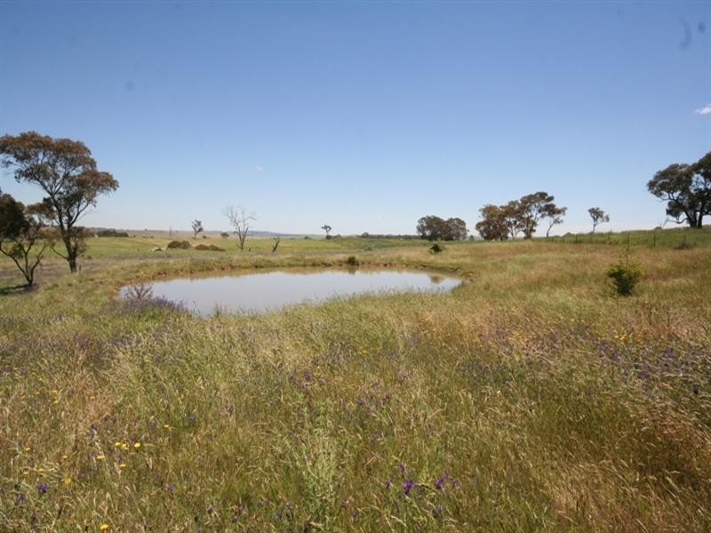 2827 O’Connell Road, O’connell NSW 2795