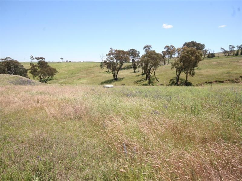 2827 O’Connell Road, O’connell NSW 2795