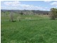 Orange NSW 2800