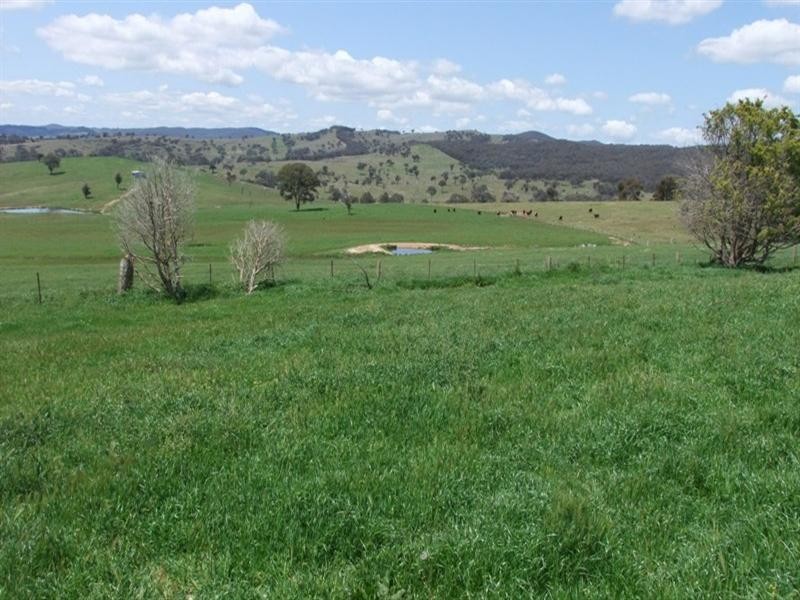 Orange NSW 2800