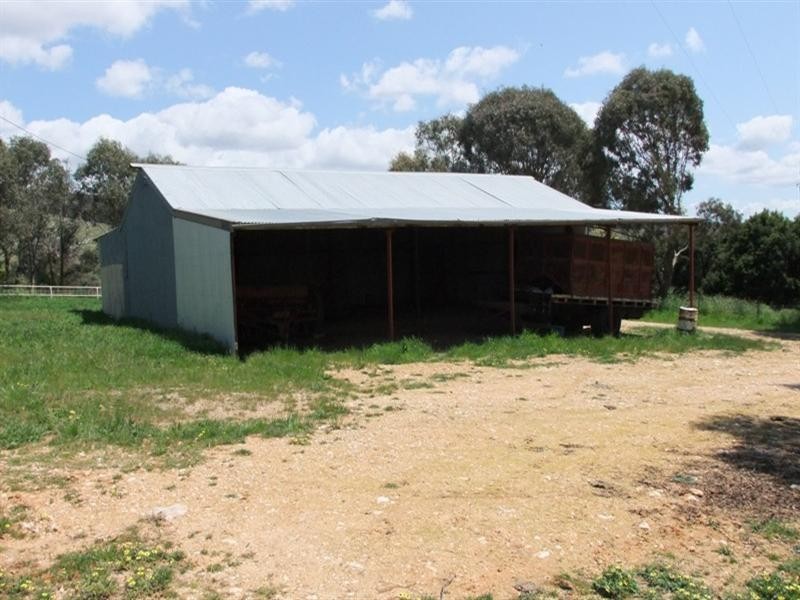 Orange NSW 2800