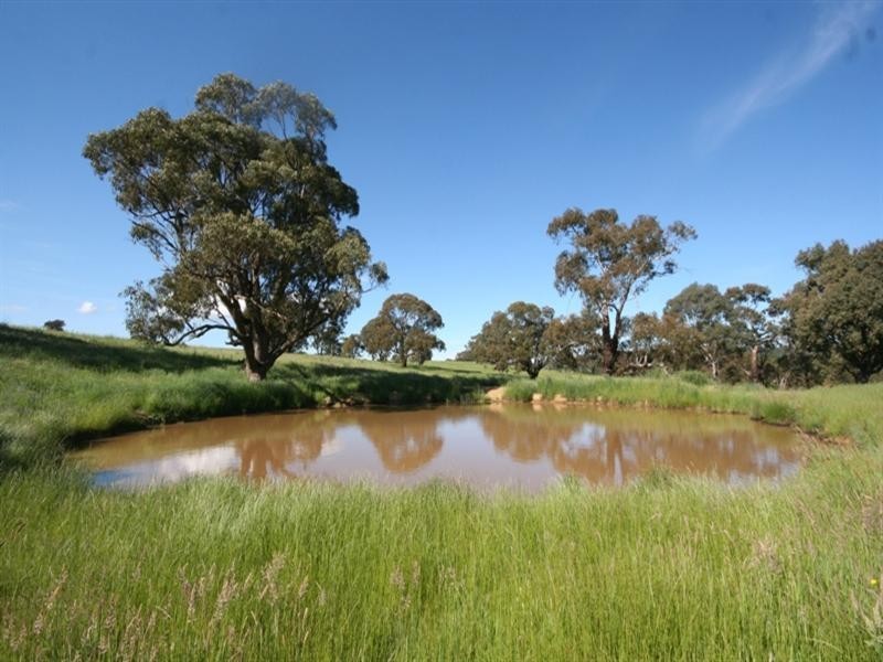 1020 Isabella Road, Isabella NSW 2795