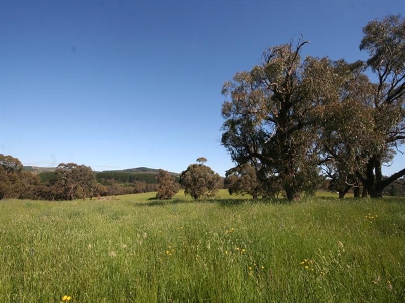 1020 Isabella Road, Isabella NSW 2795