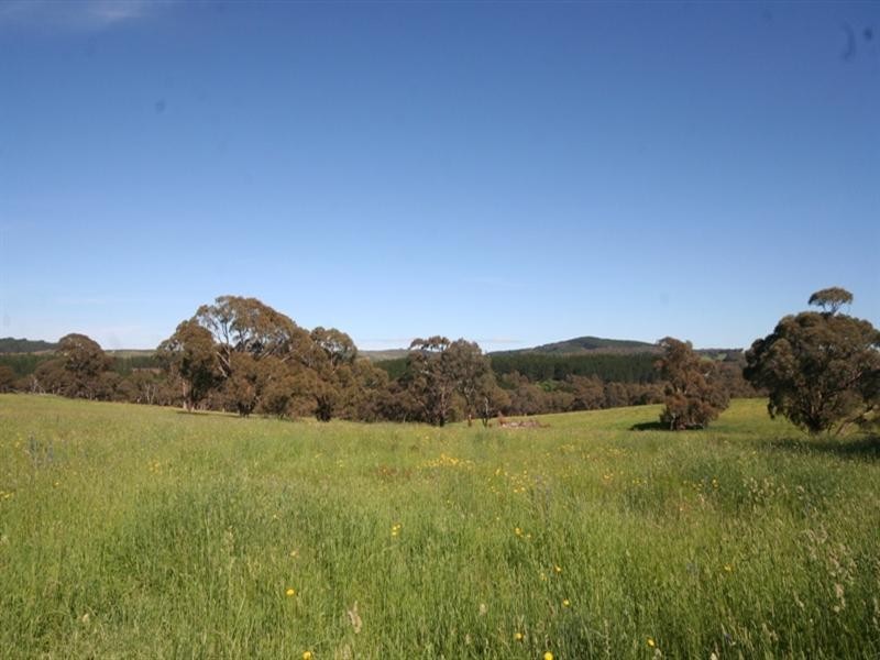 1020 Isabella Road, Isabella NSW 2795