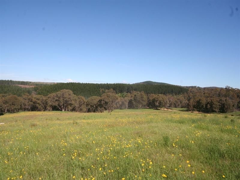 1020 Isabella Road, Isabella NSW 2795