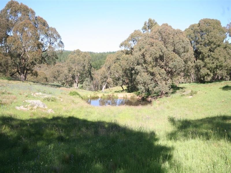 1020 Isabella Road, Isabella NSW 2795