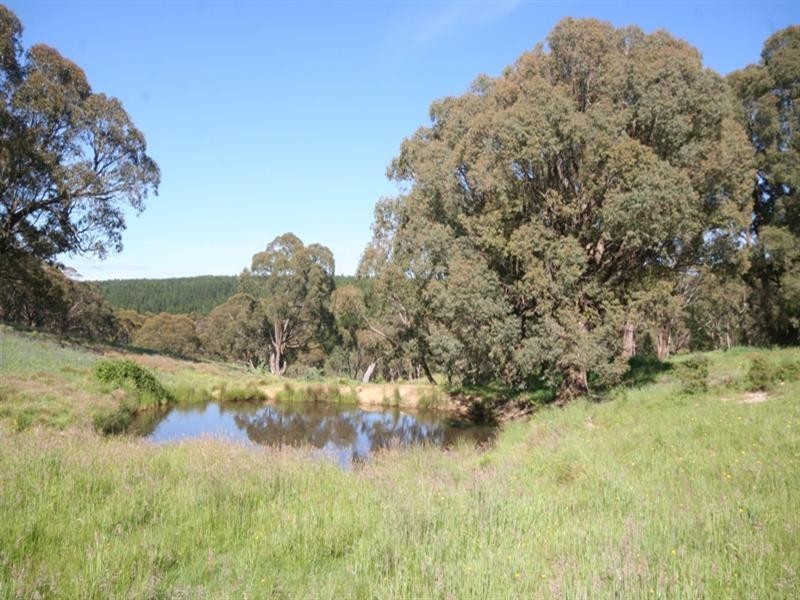 1020 Isabella Road, Isabella NSW 2795