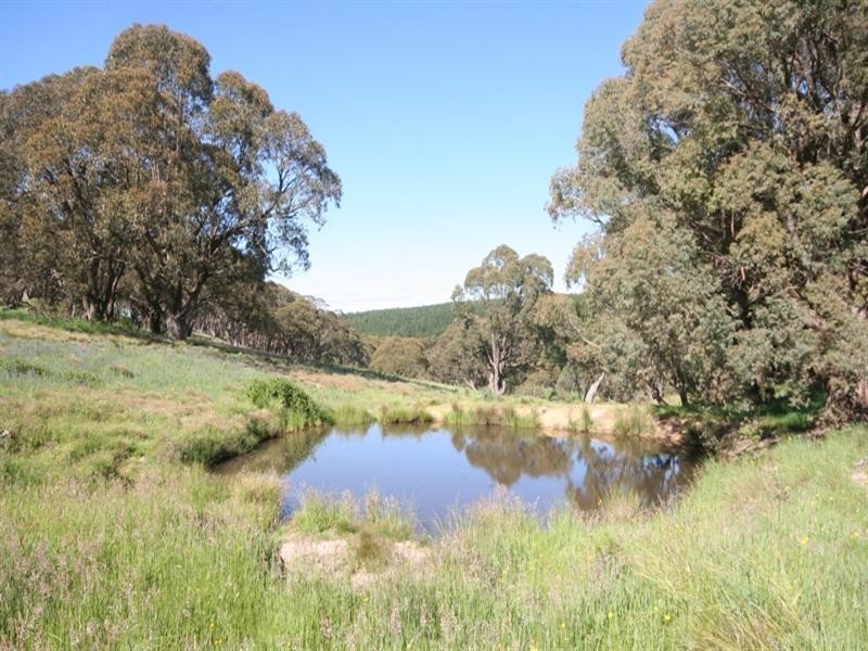 1020 Isabella Road, Isabella NSW 2795