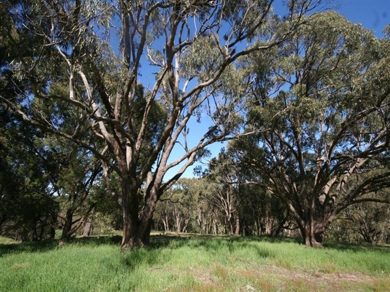 1020 Isabella Road, Isabella NSW 2795