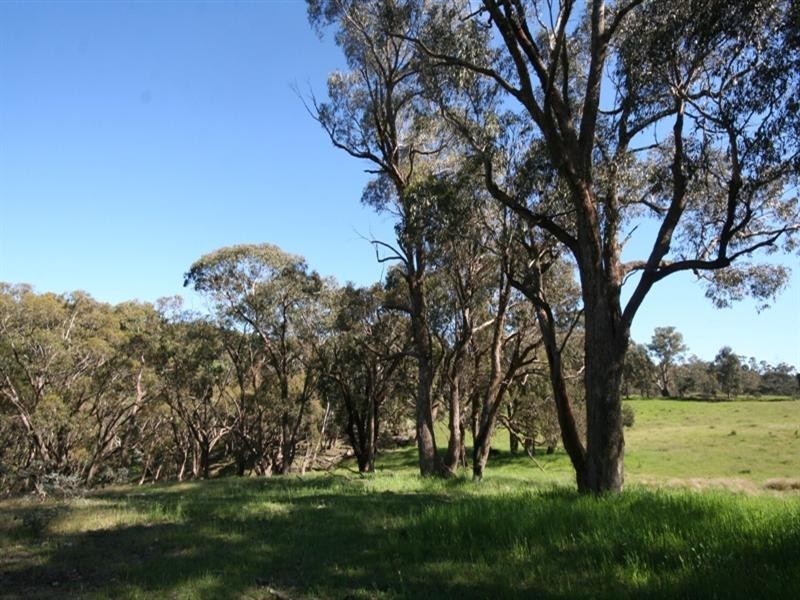 1020 Isabella Road, Isabella NSW 2795