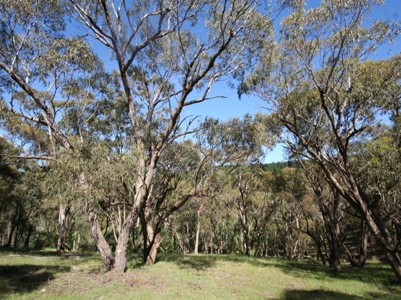 1020 Isabella Road, Isabella NSW 2795