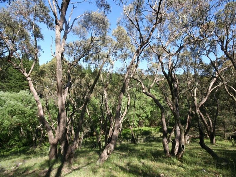 1020 Isabella Road, Isabella NSW 2795