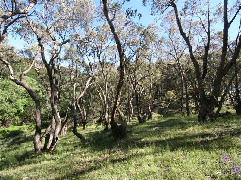 1020 Isabella Road, Isabella NSW 2795