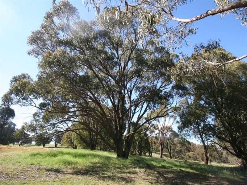 1020 Isabella Road, Isabella NSW 2795