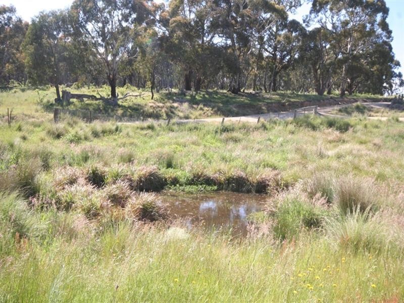 1020 Isabella Road, Isabella NSW 2795