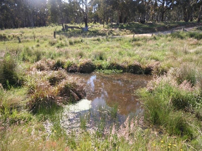 1020 Isabella Road, Isabella NSW 2795