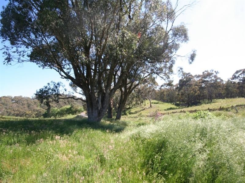 1020 Isabella Road, Isabella NSW 2795