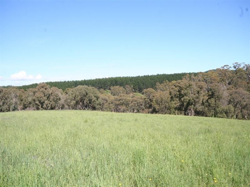 1020 Isabella Road, Isabella NSW 2795