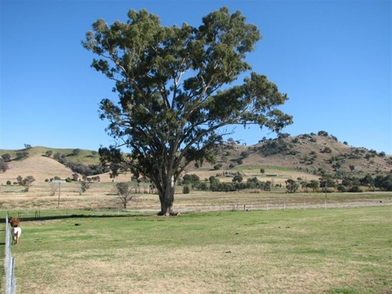 53 Mt McDonald Road, Darbys Falls NSW 2793