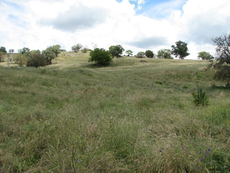 1756 Reg Hailstone Way, Cowra NSW 2794