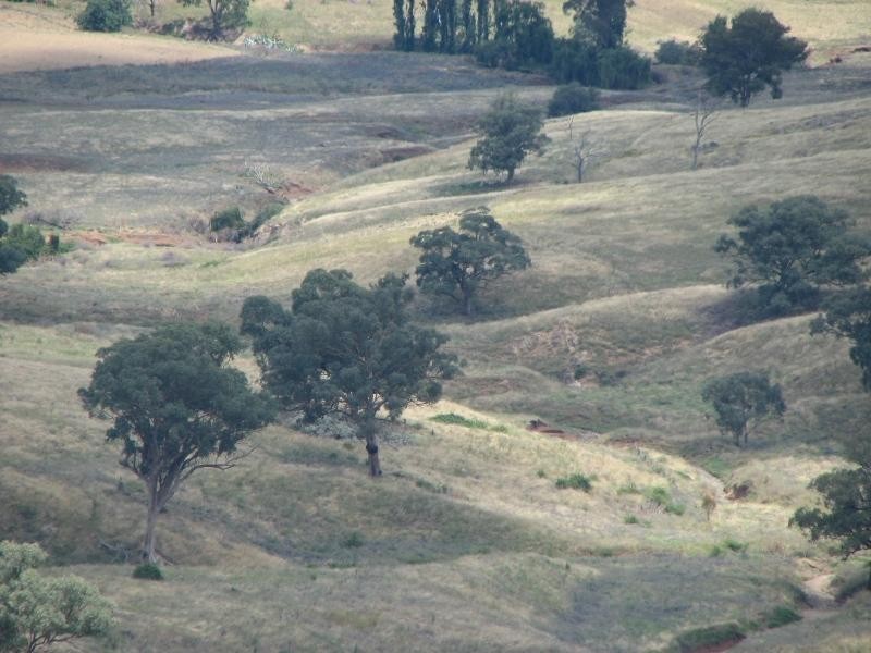 1756 Reg Hailstone Way, Cowra NSW 2794