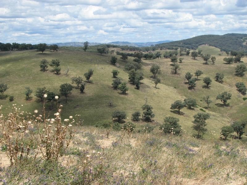 1756 Reg Hailstone Way, Cowra NSW 2794