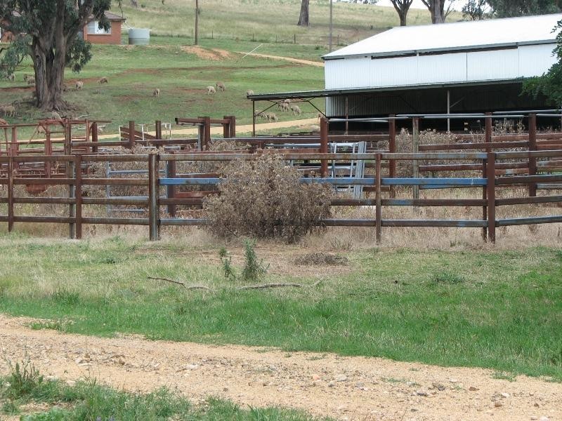 1756 Reg Hailstone Way, Cowra NSW 2794