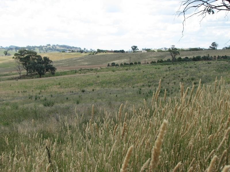 1756 Reg Hailstone Way, Cowra NSW 2794