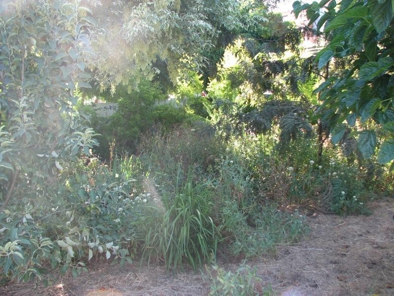 14 Lachlan Street, Cowra NSW 2794