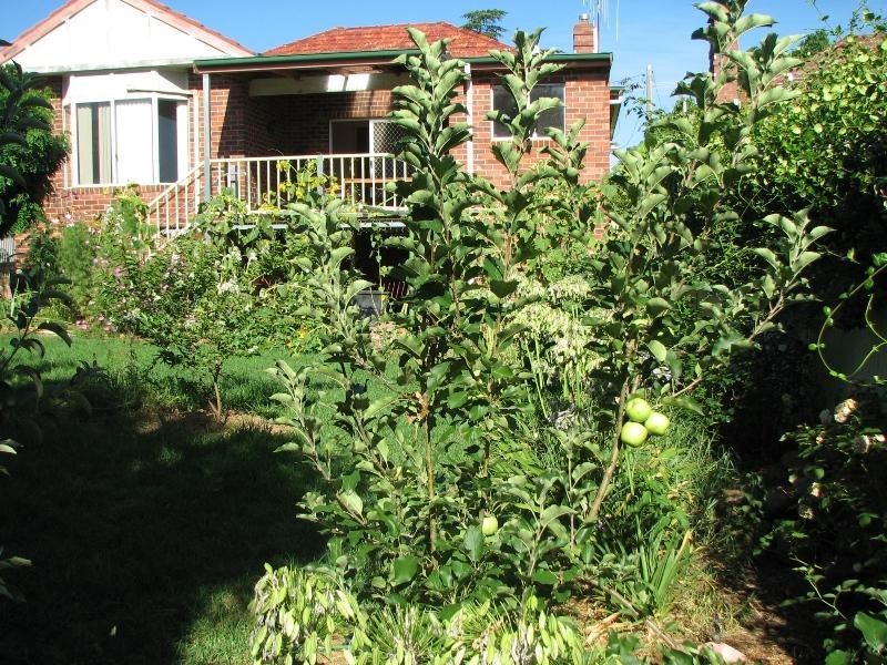 14 Lachlan Street, Cowra NSW 2794