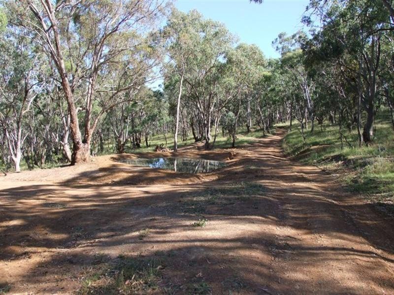 3151 Sofala Road, Bathurst NSW 2795