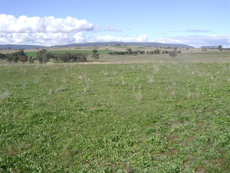 Lot 12 Wirrimah Road, Bendick Murrell NSW 2803