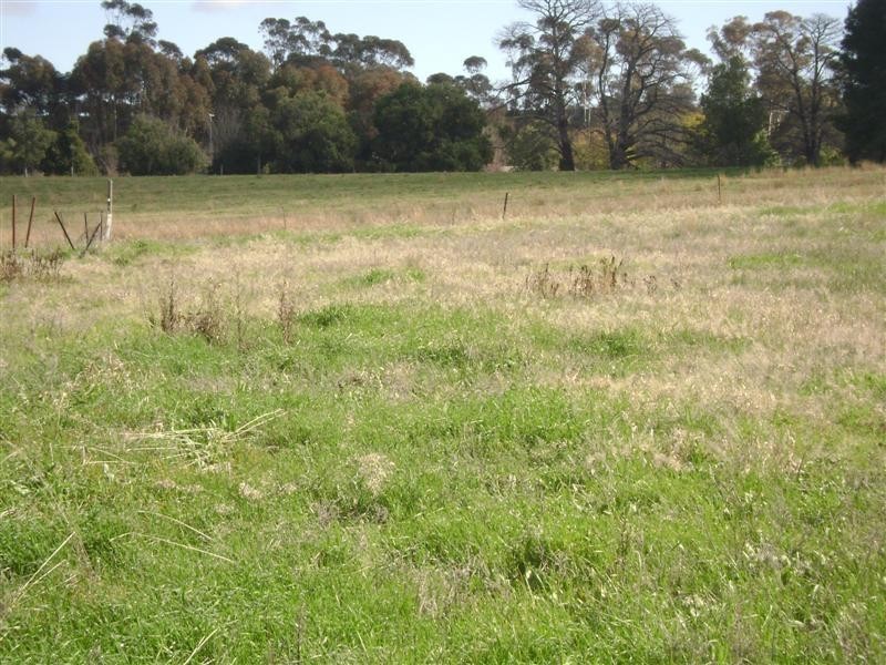 Lot 12 Wirrimah Road, Bendick Murrell NSW 2803