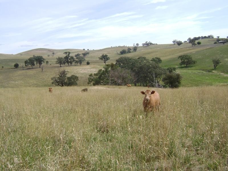 1580 Reg Hailstone Way, Woodstock NSW 2793