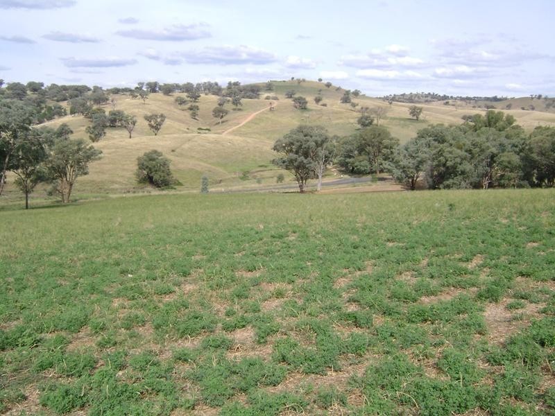 1580 Reg Hailstone Way, Woodstock NSW 2793