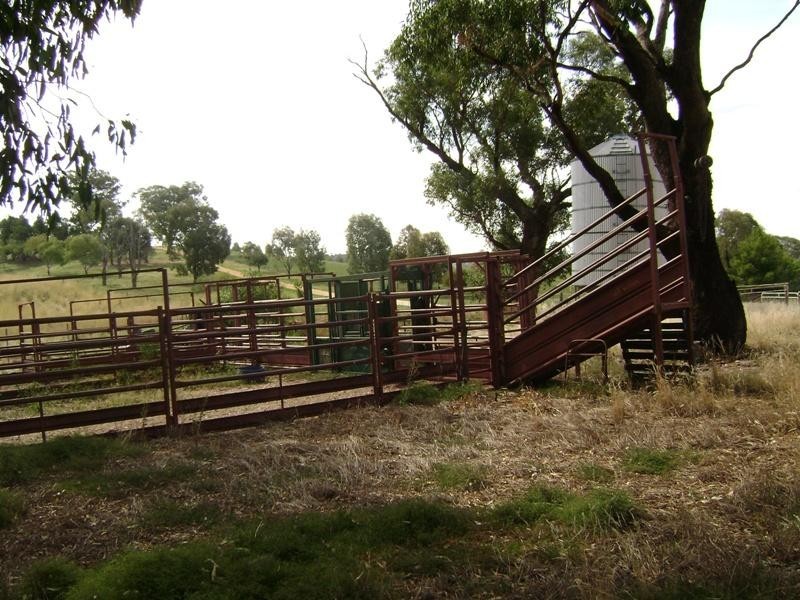 1580 Reg Hailstone Way, Woodstock NSW 2793