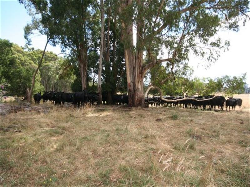 Shooters Hill NSW 2787