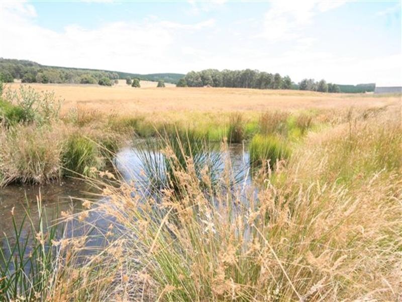 Shooters Hill NSW 2787