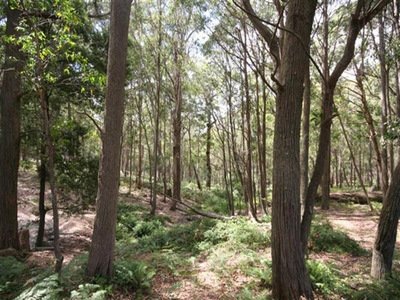 Shooters Hill NSW 2787