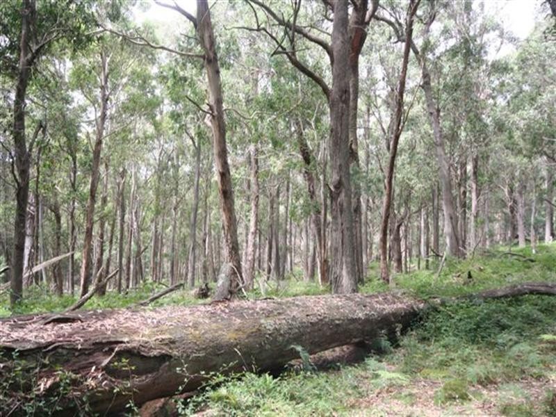 Shooters Hill NSW 2787