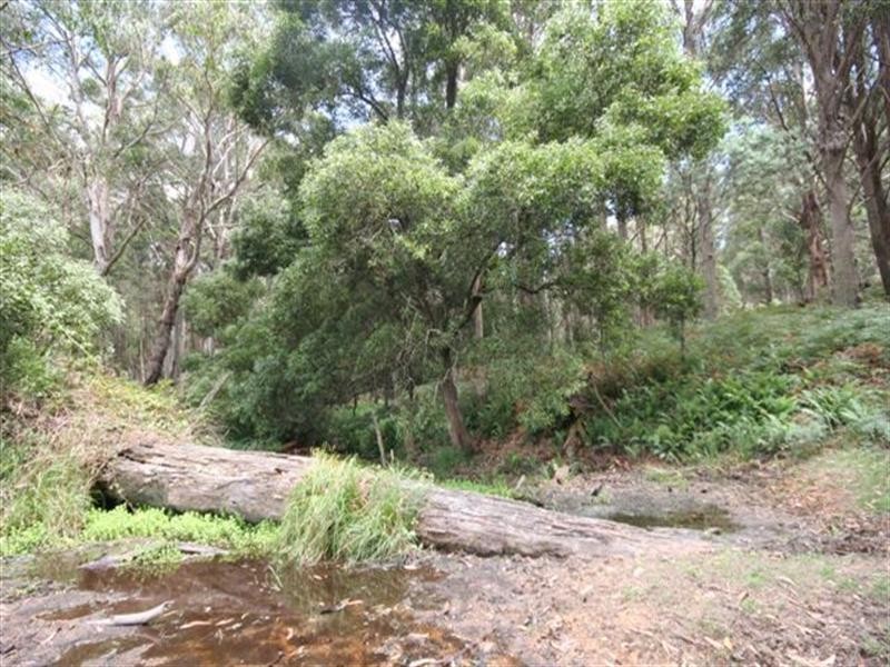 Shooters Hill NSW 2787